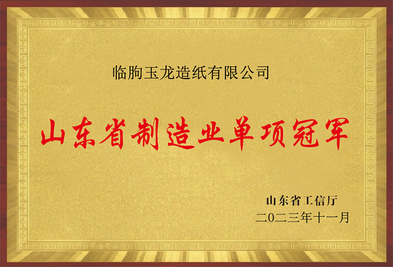 山东省制造业单项冠军（临朐玉龙造纸有限公司）